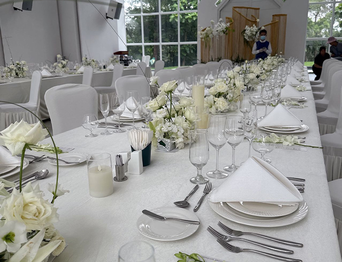 南宁-荔园维景ariana文化艺术中心